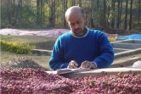 deomali-coffee-founder-3